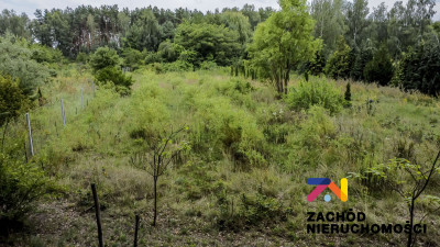 Na sprzedaż działka budowlana - Droszków -
lubuskie Zdjęcie nr 3