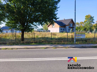 Na sprzedaż działka budowlana - Zielona Góra -
lubuskie Zdjęcie nr 2