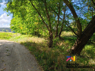Na sprzedaż działka budowlana - Zabór -
lubuskie Zdjęcie nr 4