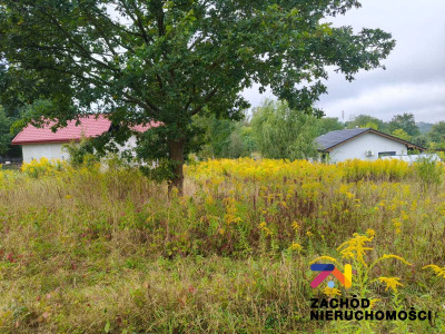 Na sprzedaż działka budowlana - Kamień - lubuskie