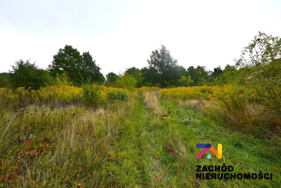 Na sprzedaż działka budowlana - Kamień -
lubuskie Zdjęcie nr 4