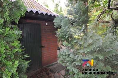 Na sprzedaż działka rolna - Zielona Góra -
lubuskie Zdjęcie nr 2