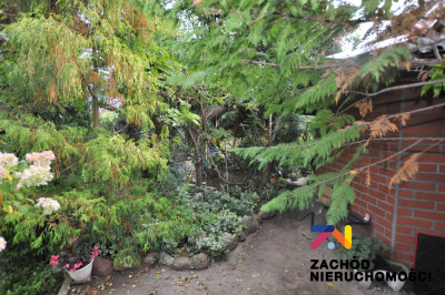 Na sprzedaż działka rolna - Zielona Góra -
lubuskie Zdjęcie nr 7