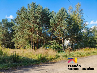 Na sprzedaż działka budowlana - Droszków - lubuskie