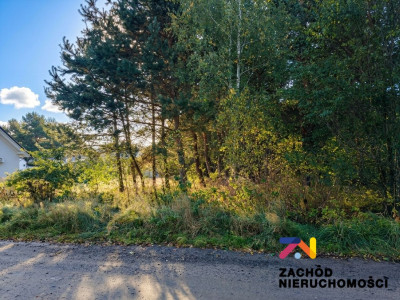 Na sprzedaż działka budowlana - Droszków -
lubuskie Zdjęcie nr 2