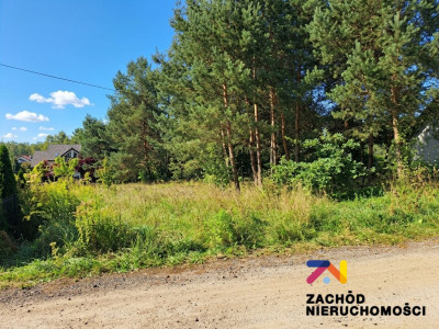 Na sprzedaż działka budowlana - Droszków -
lubuskie Zdjęcie nr 4