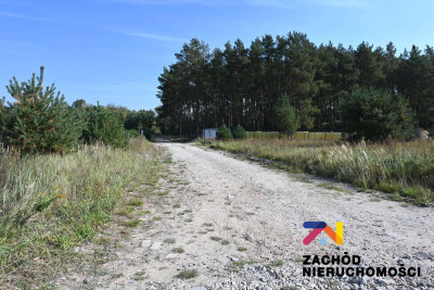 Na sprzedaż działka budowlana - Niedoradz - lubuskie