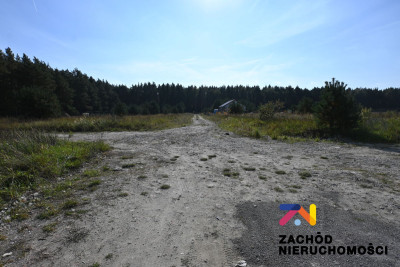 Na sprzedaż działka budowlana - Niedoradz -
lubuskie Zdjęcie nr 4