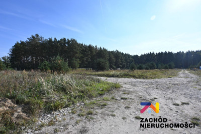 Na sprzedaż działka budowlana - Niedoradz -
lubuskie Zdjęcie nr 6
