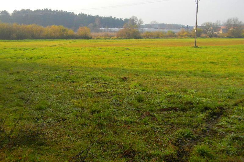 Na sprzedaż działka inwestycyjna - Grójec Mały -
wielkopolskie Zdjęcie nr 1