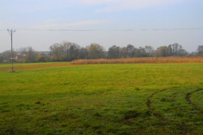 Na sprzedaż działka inwestycyjna - Grójec Mały -
wielkopolskie Zdjęcie nr 2