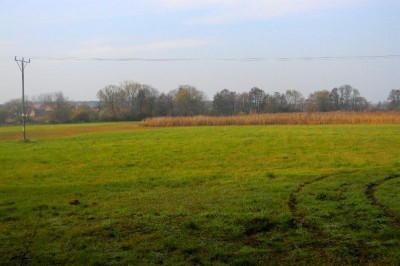 Na sprzedaż działka inwestycyjna - Grójec Mały -
wielkopolskie Zdjęcie nr 6