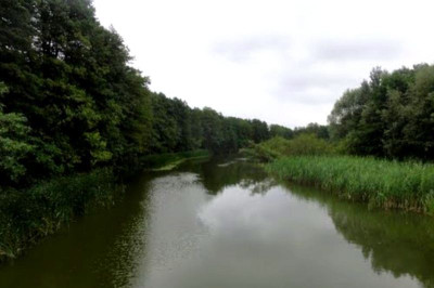 Na sprzedaż działka inwestycyjna - Grójec Mały -
wielkopolskie Zdjęcie nr 7