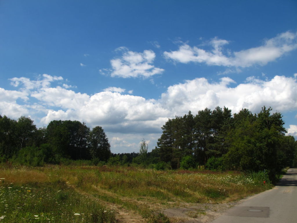 Na sprzedaż działka rolna - Zielona Góra -
lubuskie Zdjęcie nr 1