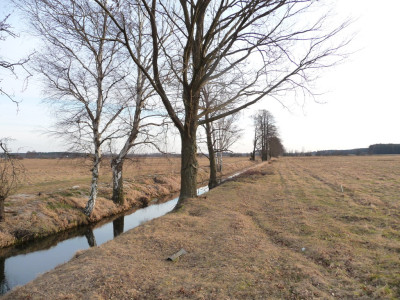 Na sprzedaż działka rolna - Lubsko -
lubuskie Zdjęcie nr 2