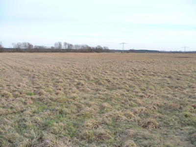 Na sprzedaż działka rolna - Lubsko -
lubuskie Zdjęcie nr 3