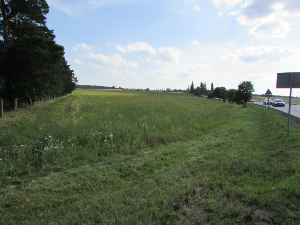 Na sprzedaż działka rolna - Nowogród Bobrzański -
lubuskie Zdjęcie nr 1