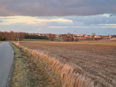 Działka pod zabudowę siedliskową 3380m2 Żelisław k Błaszek -  Żelisław  -
łódzkie Zdjęcie nr 11
