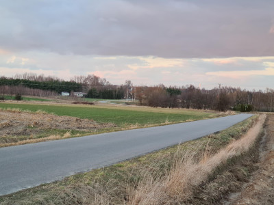 Działka pod zabudowę siedliskową 3380m2 Żelisław k Błaszek -  Żelisław  -
łódzkie Zdjęcie nr 3