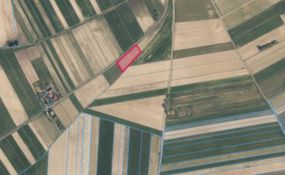 Działka pod zabudowę siedliskową 3380m2 Żelisław k Błaszek -  Żelisław  -
łódzkie Zdjęcie nr 4