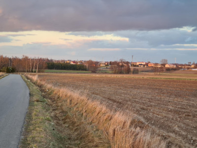Działka pod zabudowę siedliskową 3380m2 Żelisław k Błaszek -  Żelisław  -
łódzkie Zdjęcie nr 5