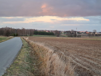 Działka pod zabudowę siedliskową 3380m2 Żelisław k Błaszek -  Żelisław  -
łódzkie Zdjęcie nr 6