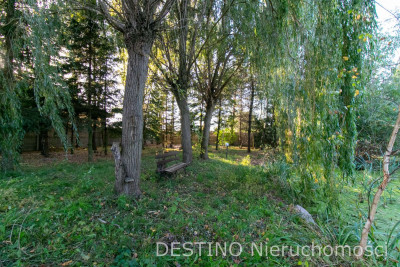 urokliwa działka budowlana 1400 m2 Szałe - Szałe  -
wielkopolskie Zdjęcie nr 3