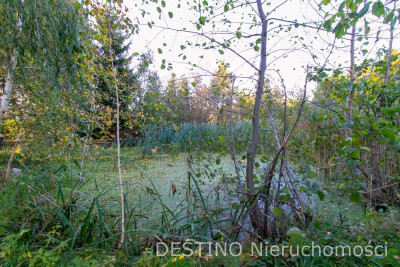 urokliwa działka budowlana 1400 m2 Szałe - Szałe  -
wielkopolskie Zdjęcie nr 4