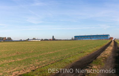 działka budowlana 1062 m2 Beznatka - Beznatka  -
wielkopolskie Zdjęcie nr 3