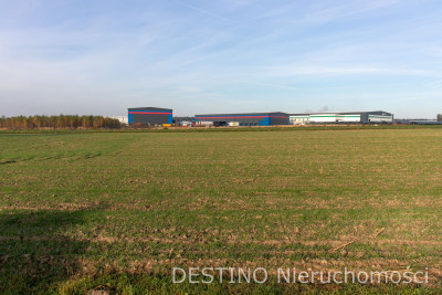 działka budowlana 1062 m2 Beznatka - Beznatka  -
wielkopolskie Zdjęcie nr 4