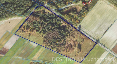 atrakcyjna działka 57200 ha w miejscowości Czempisz gmina Brzeziny - Czempisz  - wielkopolskie