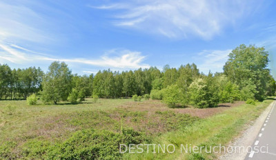 atrakcyjna działka 57200 ha w miejscowości Czempisz gmina Brzeziny - Czempisz  -
wielkopolskie Zdjęcie nr 2