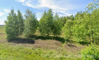 atrakcyjna działka 57200 ha w miejscowości Czempisz gmina Brzeziny - Czempisz  -
wielkopolskie Zdjęcie nr 3