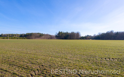 na sprzedaż działka gruntu o powierzchni ok 2 ha gm  Opatówek - Cienia Druga  - wielkopolskie