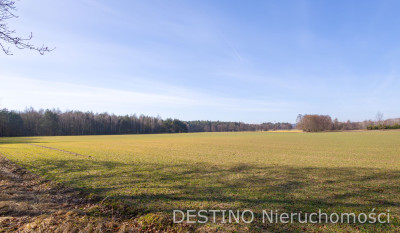 na sprzedaż działka gruntu o powierzchni ok 2 ha gm  Opatówek - Cienia Druga  -
wielkopolskie Zdjęcie nr 4