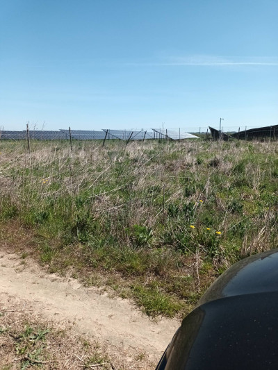 Działka do sprzedaży w Śmiłowie - Śmiłów  -
wielkopolskie Zdjęcie nr 3