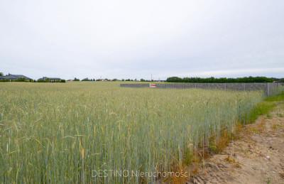 działka pod budowę domu jednorodzinnego 1376 m2 w gminie Ślesin - Kępa  -
wielkopolskie Zdjęcie nr 6