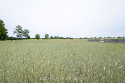 działka pod budowę domu jednorodzinnego 1376 m2 w gminie Ślesin - Kępa  -
wielkopolskie Zdjęcie nr 7