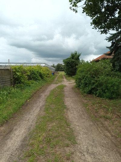 działka budowlana w Kokaninie - Kokanin  - wielkopolskie