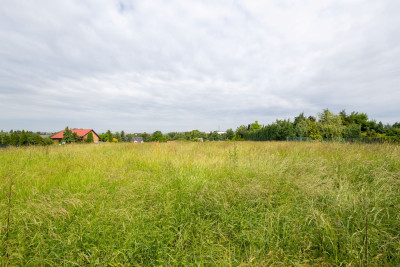atrakcyjna działka pod zabudowę jednorodzinną 3016 m2 Kościelna Wieś - Kościelna Wieś  - wielkopolskie