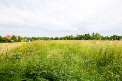 atrakcyjna działka pod zabudowę jednorodzinną 3016 m2 Kościelna Wieś - Kościelna Wieś  -
wielkopolskie Zdjęcie nr 3
