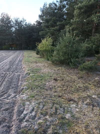 Działka rolna w Moczalcu - Moczalec  -
wielkopolskie Zdjęcie nr 4