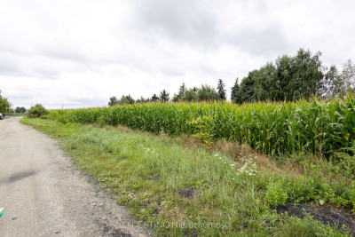 Atrakcyjna działka ok 1100 m2 Pawłówek pod Kaliszem - Pawłówek  -
wielkopolskie Zdjęcie nr 2