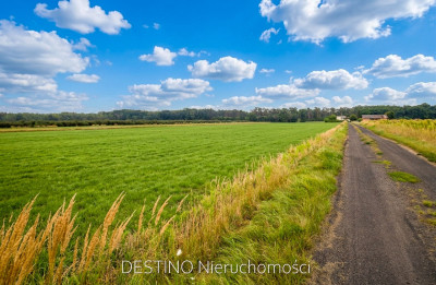 Na sprzedaż działka budowlana 620 m2 Beznatka pod Kaliszem - Beznatka  - wielkopolskie