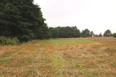 atrakcyjna działka 1300 ha Chełmce -  Chełmce  - wielkopolskie