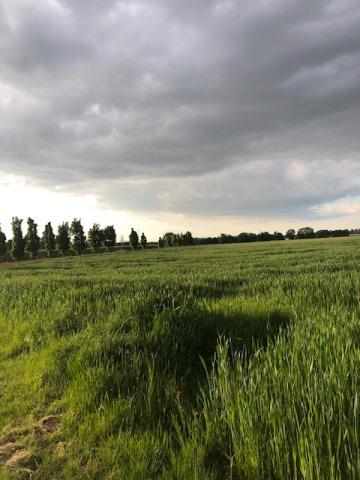 Działka budowlana 3219 m2 Śmiłów -  Śmiłów  - wielkopolskie
