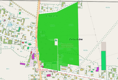 nieruchomość gruntowa ok 16 ha w Kokaninie -  Kolonia Kokanin  - wielkopolskie