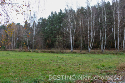 pięknie umiejscowiona działka budowlana 3118 m2 Wolica -  Wolica  -
wielkopolskie Zdjęcie nr 2