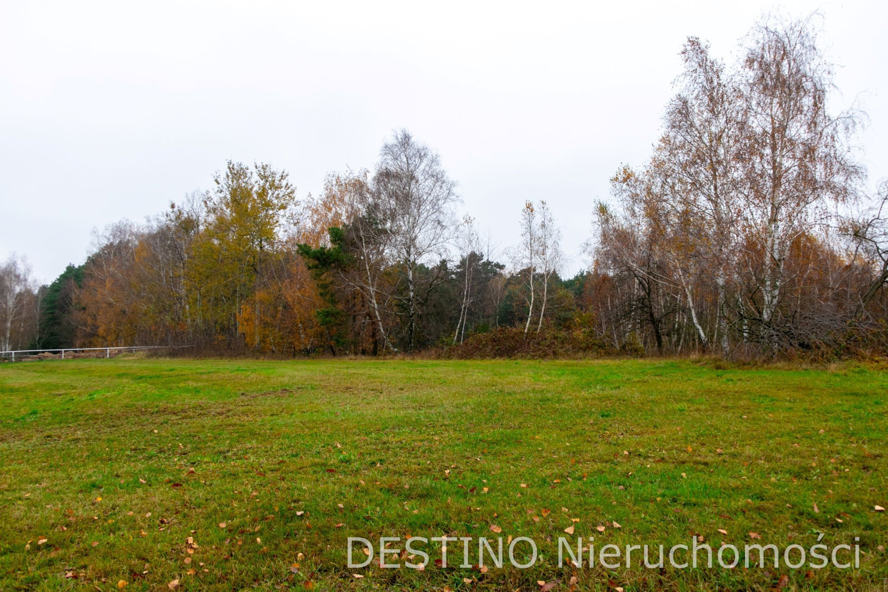 działka budowlana 4020 m2 Wolica  Szałe -  Wolica  -
wielkopolskie Zdjęcie nr 1