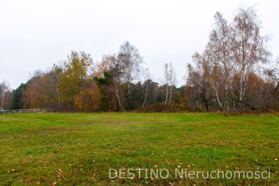 działka budowlana 4020 m2 Wolica  Szałe -  Wolica  - wielkopolskie
